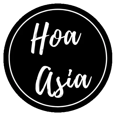 Hoa Asia Restaurant Lieferservice Hannover
